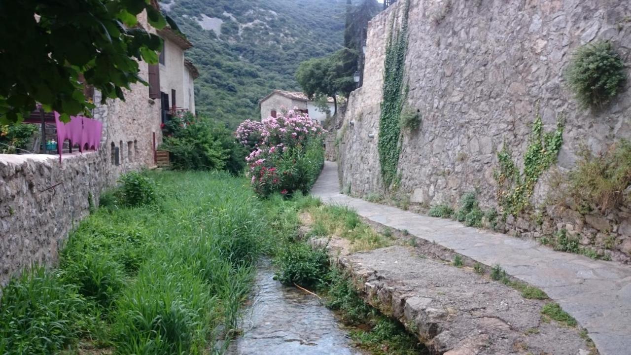 Gite De La Tour Saint-Guilhem-le-Desert Exterior photo
